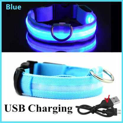 Rechargeable Luminous Pet Collar