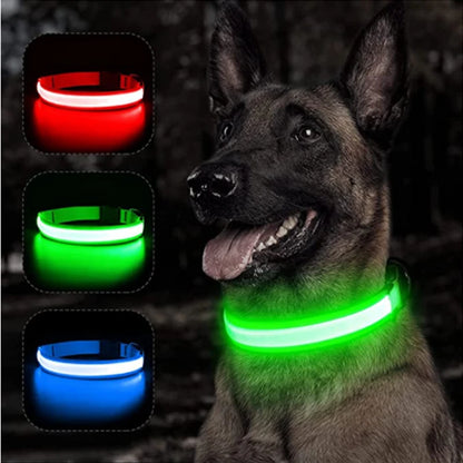 Rechargeable Luminous Pet Collar