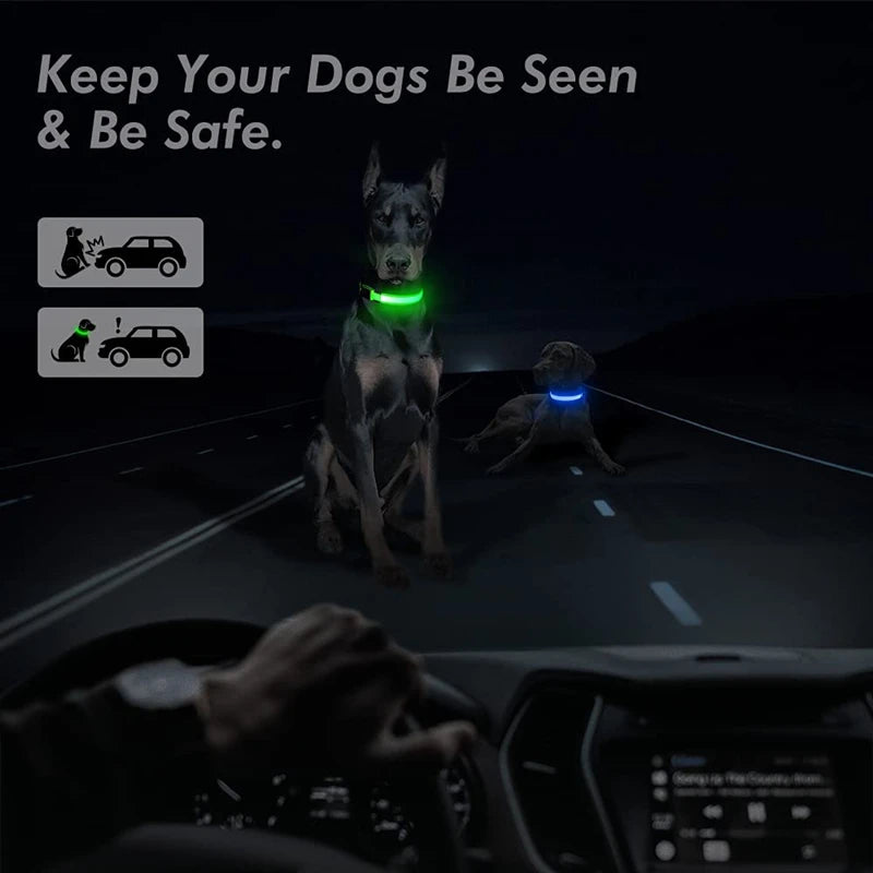 Rechargeable Luminous Pet Collar